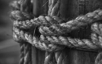 The critical bond: HR and the CEO